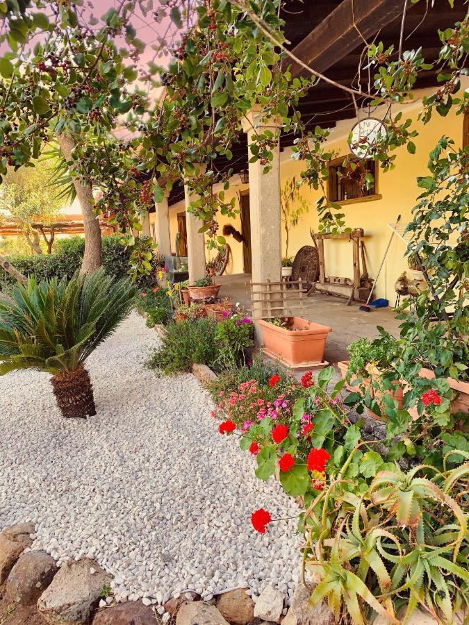 Agriturismo Da Lino Agripizza Villa Samugheo Dış mekan fotoğraf