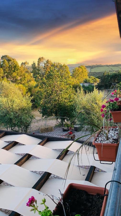 Agriturismo Da Lino Agripizza Villa Samugheo Dış mekan fotoğraf