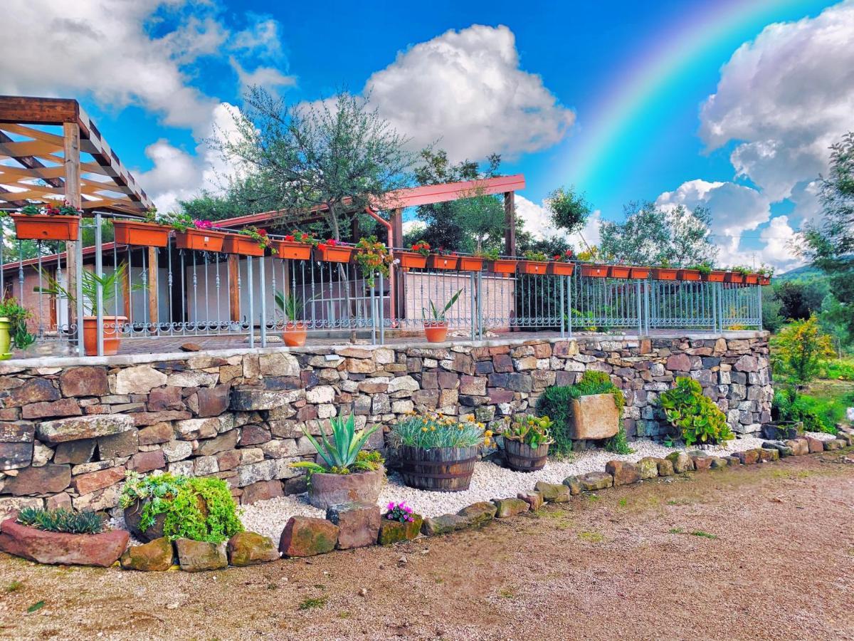 Agriturismo Da Lino Agripizza Villa Samugheo Dış mekan fotoğraf