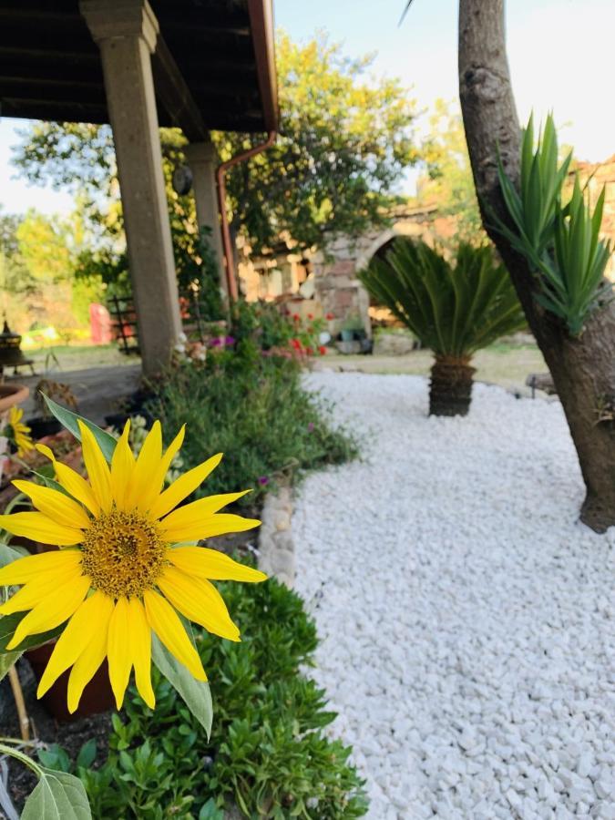 Agriturismo Da Lino Agripizza Villa Samugheo Dış mekan fotoğraf